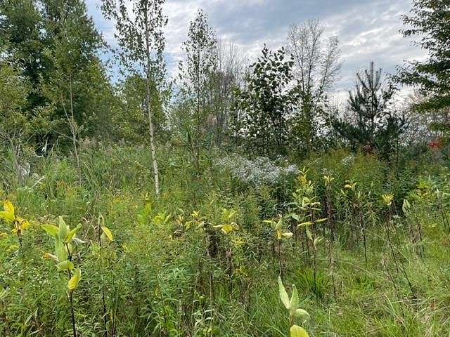 0.98 Acres of Residential Land for Sale in Massena, New York
