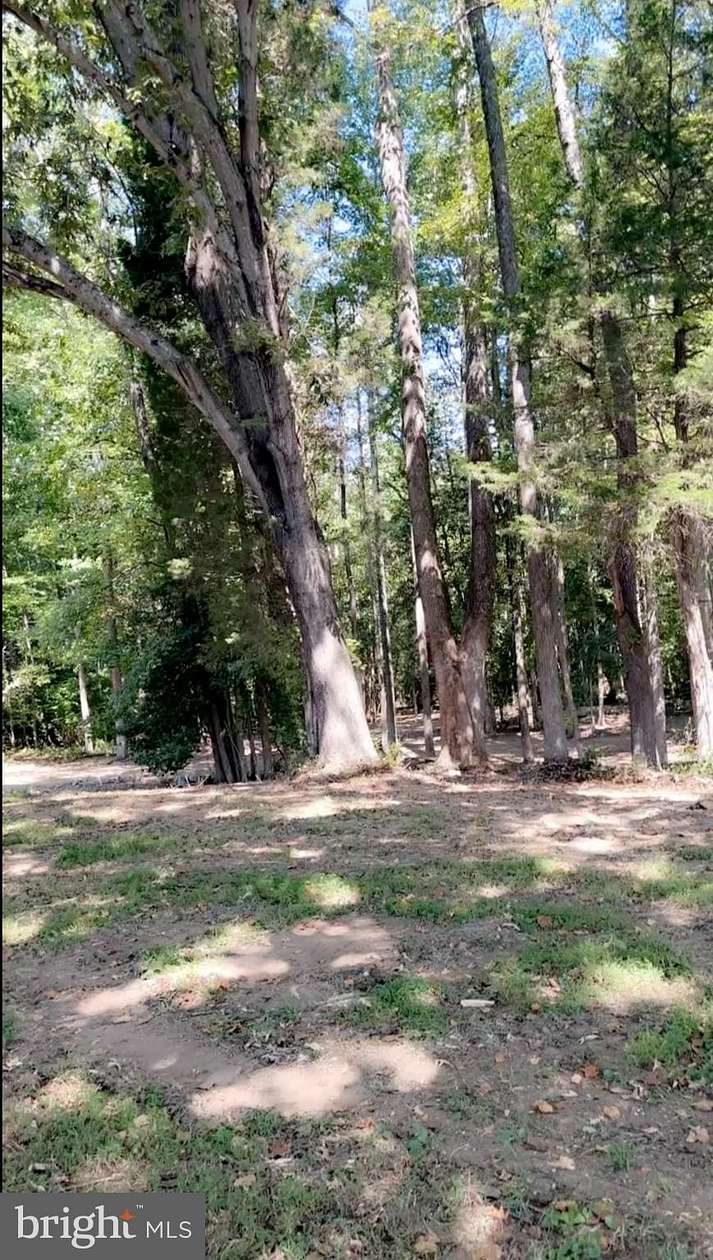 13 Acres of Land for Sale in Ruther Glen, Virginia