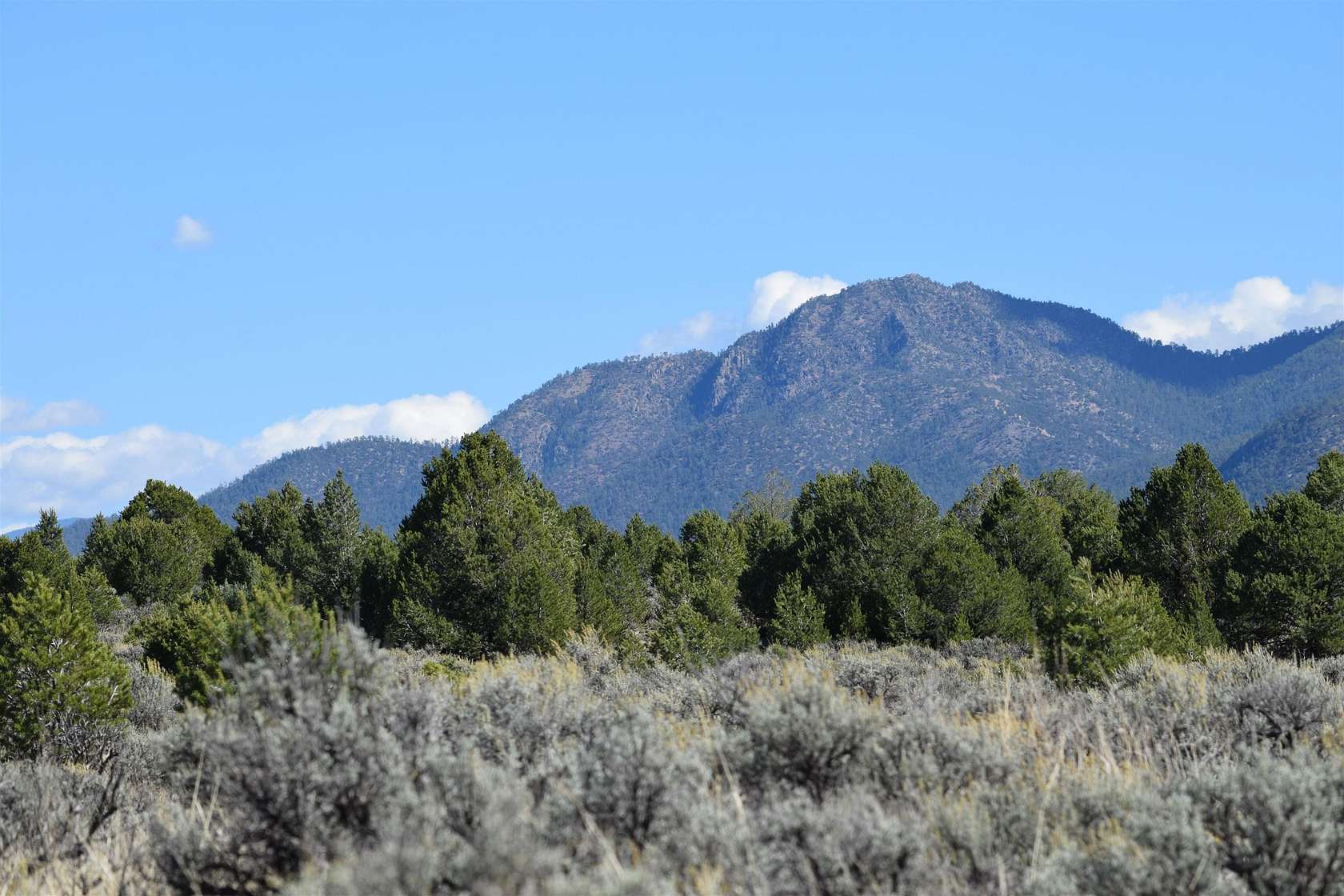 48 Acres of Land for Sale in Carson, New Mexico