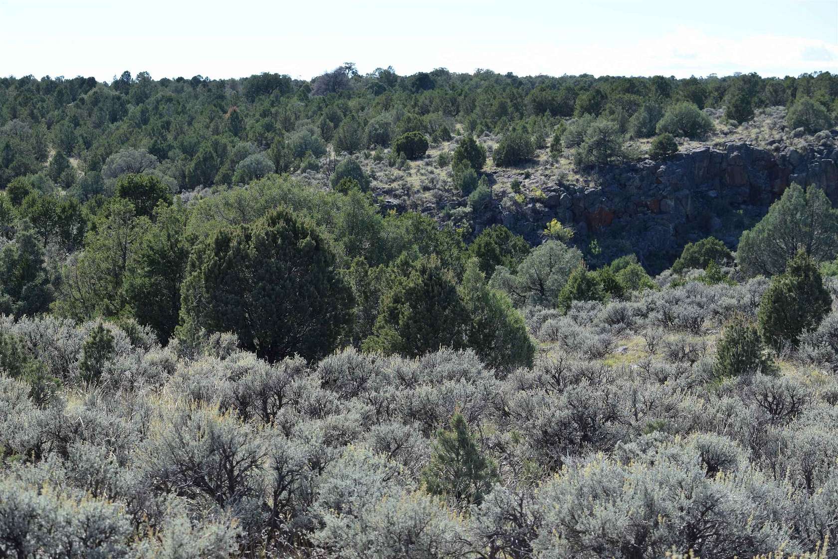 48 Acres of Agricultural Land for Sale in Carson, New Mexico