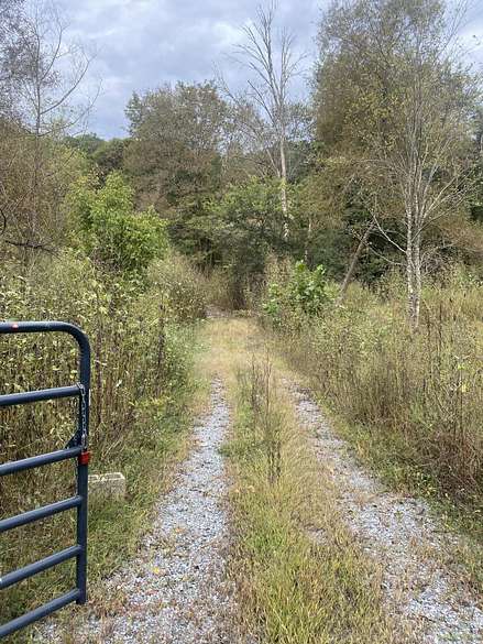 17.9 Acres of Land for Sale in Riceville, Tennessee