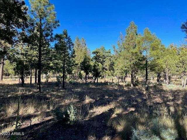 0.71 Acres of Land for Sale in Happy Jack, Arizona