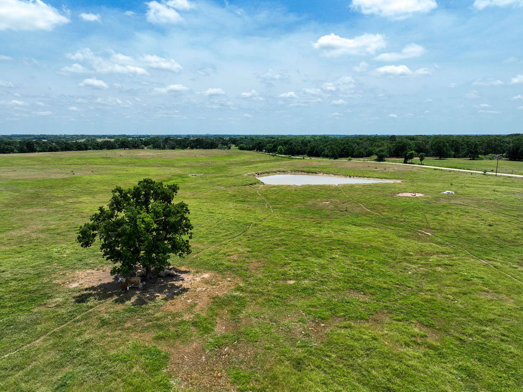 5.2 Acres of Recreational Land for Sale in Reagan, Texas