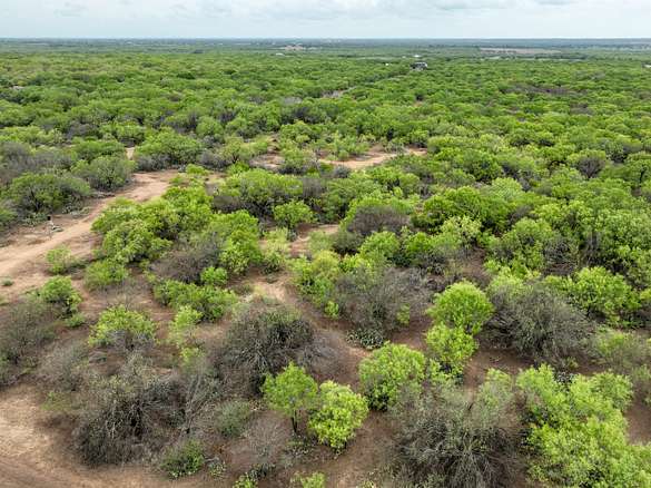 14.8 Acres of Recreational Land for Sale in Pleasanton, Texas