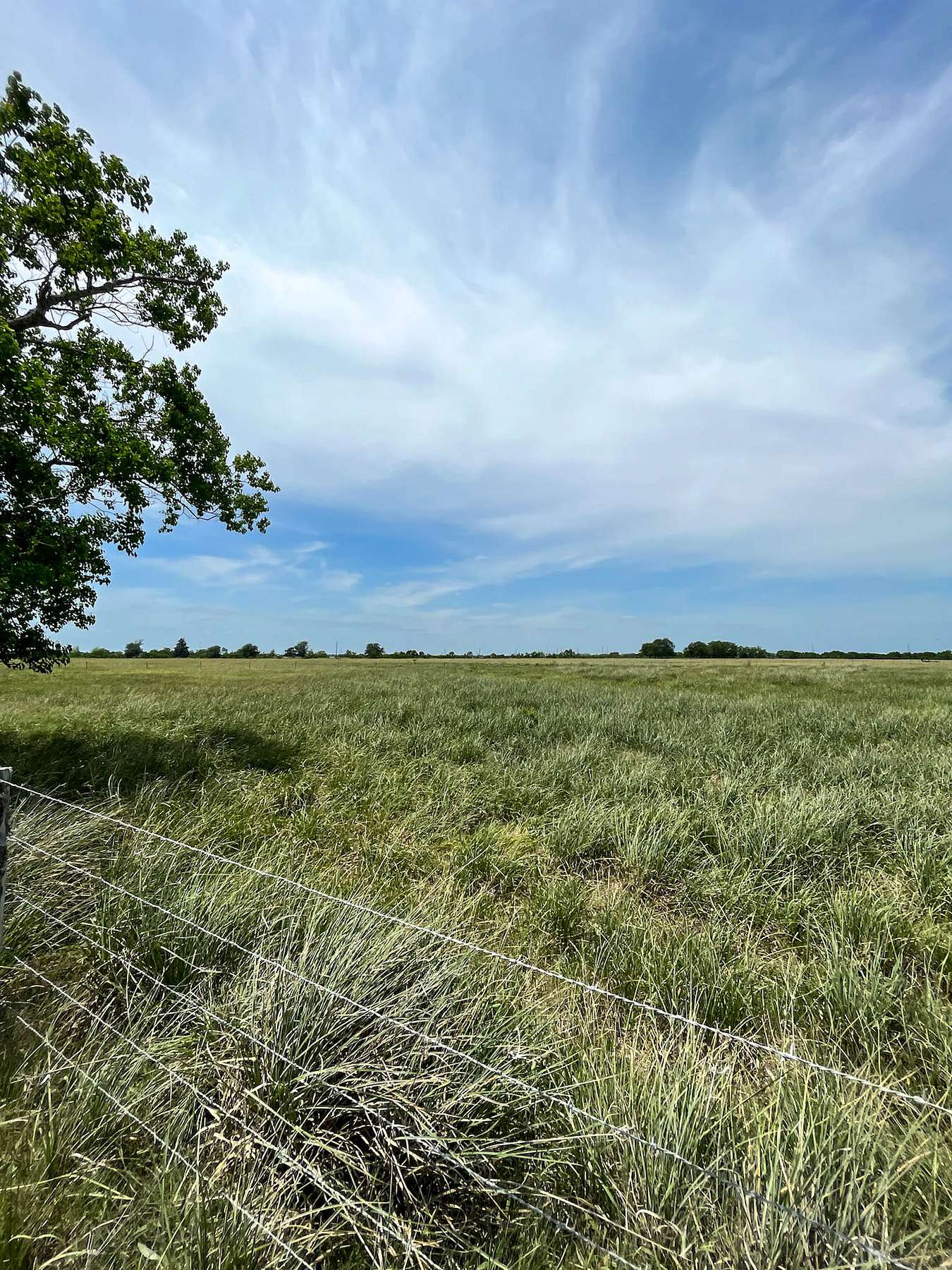 11.4 Acres of Recreational Land & Farm for Sale in Guy, Texas