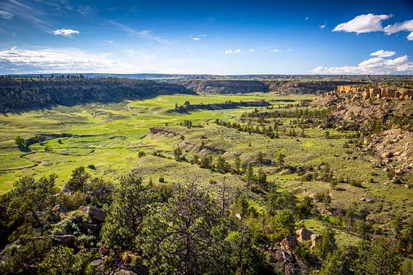 1,375 Acres of Recreational Land & Farm for Sale in Laurel, Montana