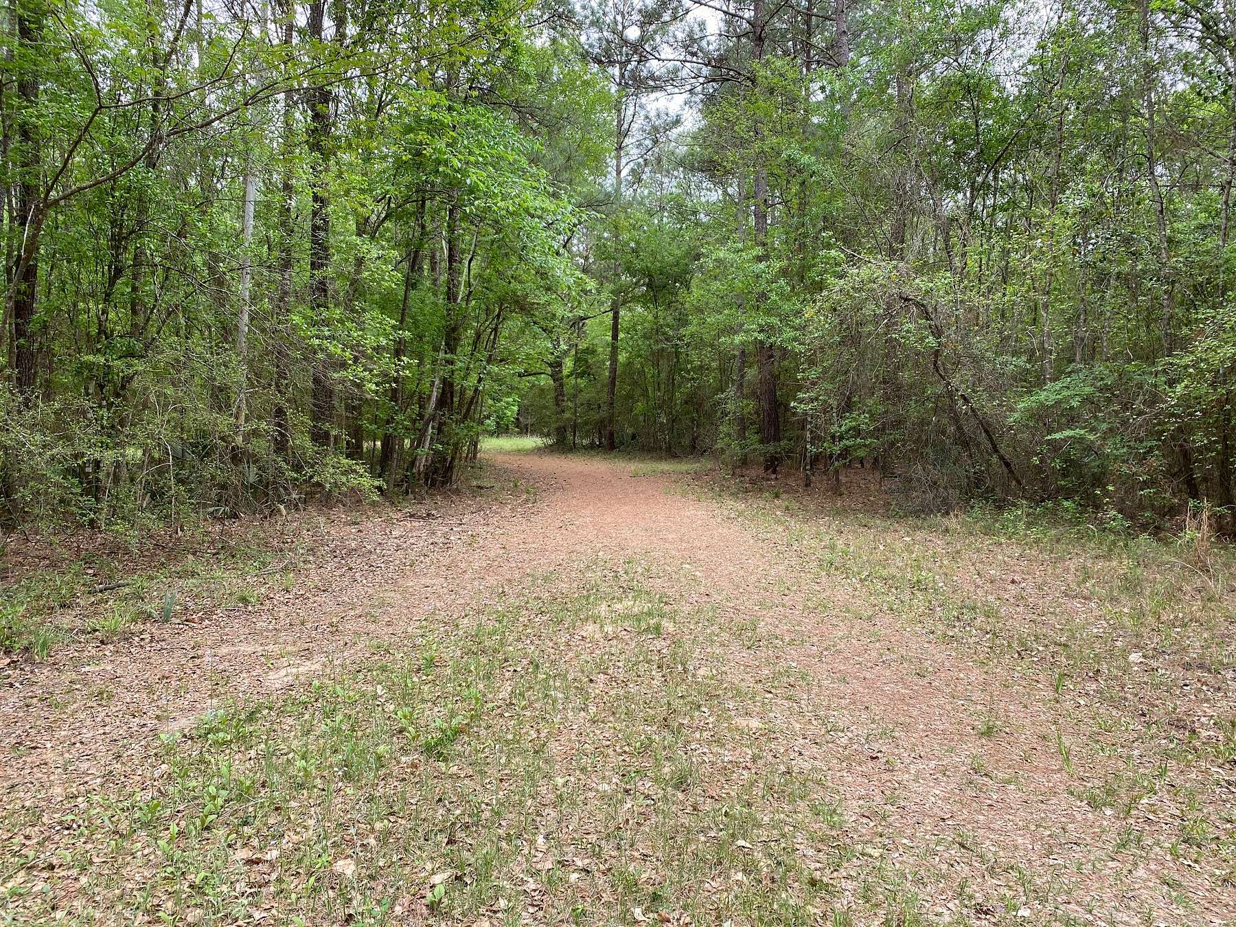 65 Acres of Recreational Land & Farm for Sale in Montgomery, Texas