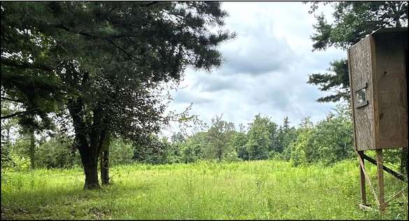 68 Acres of Recreational Land & Farm for Sale in Leakesville, Mississippi