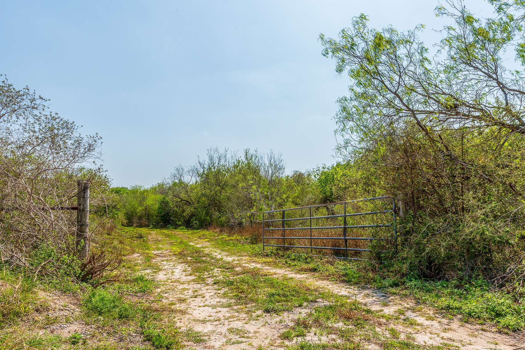 52 Acres of Recreational Land & Farm for Sale in Sandia, Texas