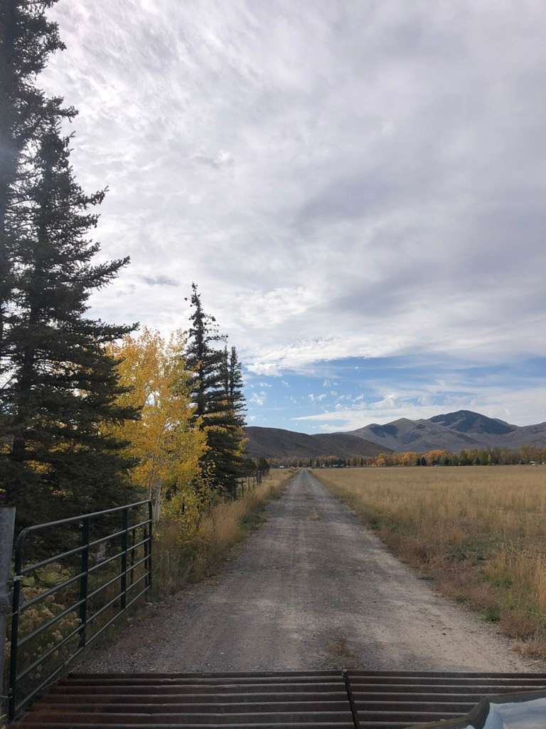 13.8 Acres of Improved Land for Sale in Mackay, Idaho
