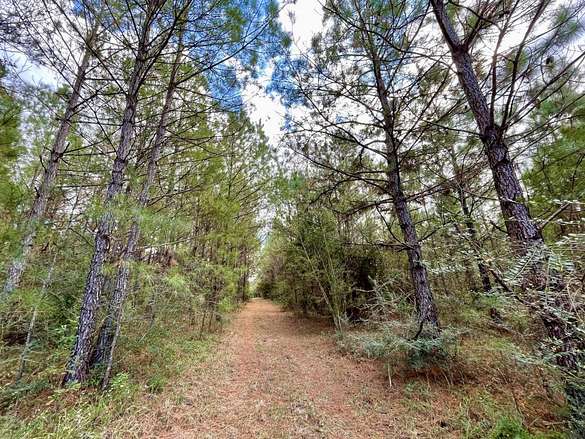 518 Acres of Recreational Land for Sale in Daphne, Alabama