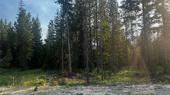 20.4 Acres of Land for Sale in Libby, Montana