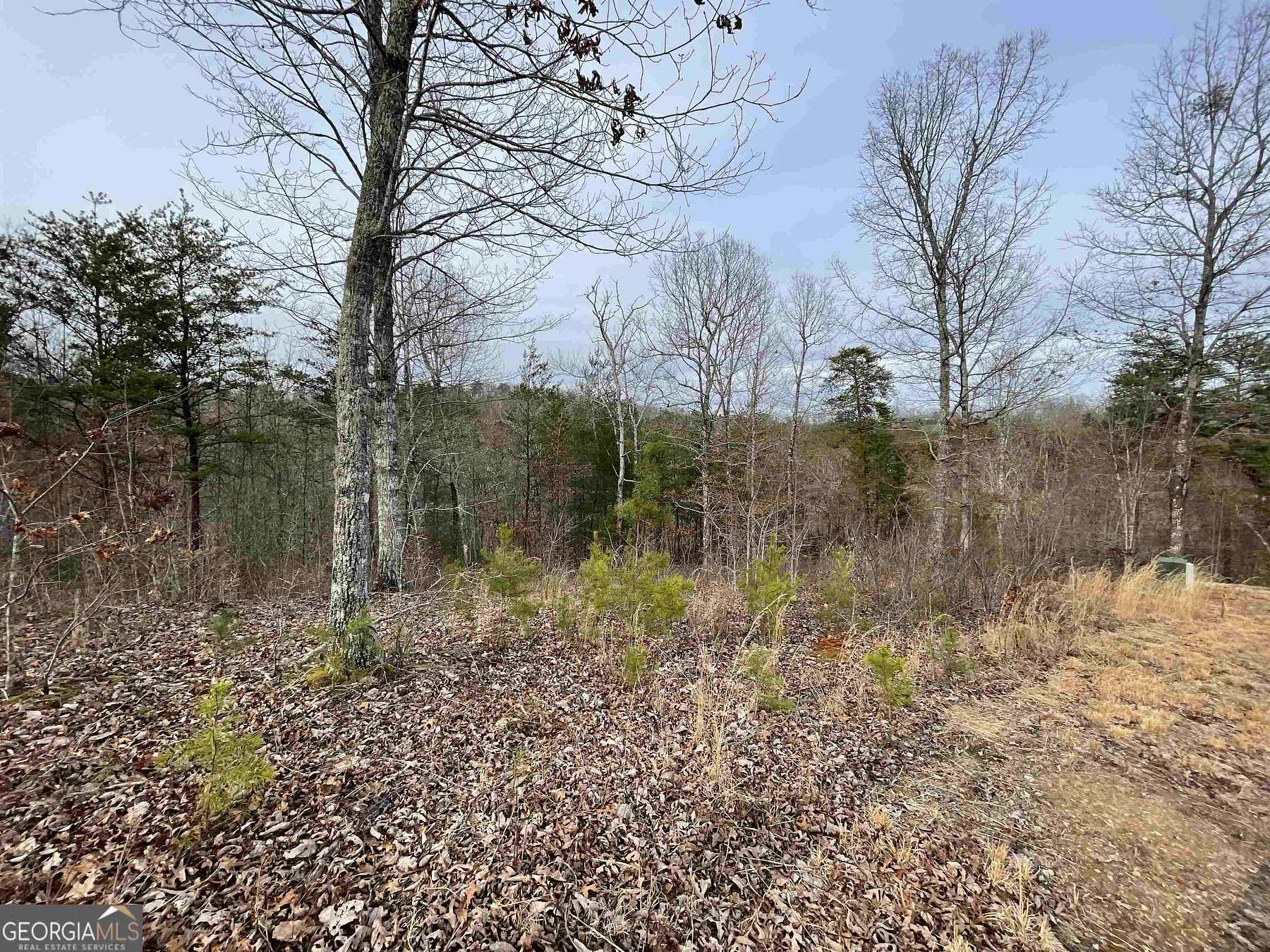 0.8 Acres of Residential Land for Sale in Young Harris, Georgia
