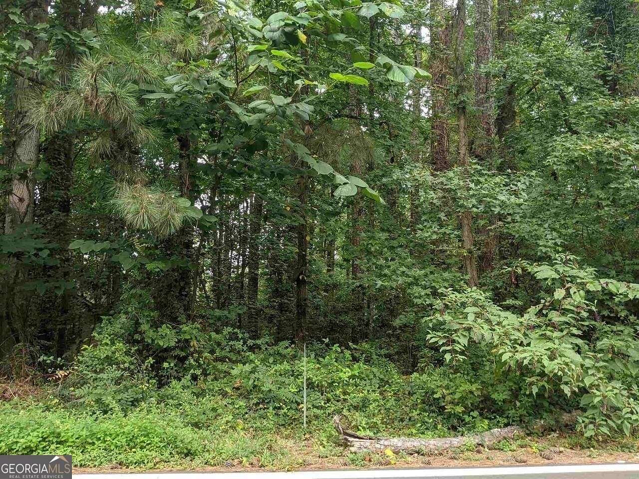 0.2 Acres of Residential Land for Sale in Snellville, Georgia