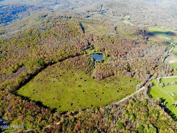 161 Acres of Recreational Land for Sale in Equinunk, Pennsylvania