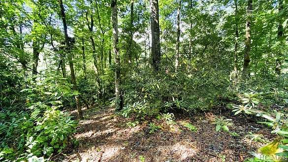 Land for Sale in Cashiers, North Carolina
