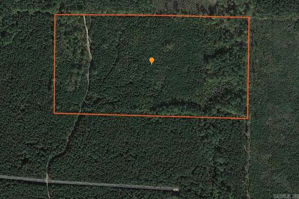 20 Acres of Land for Sale in White Hall, Arkansas
