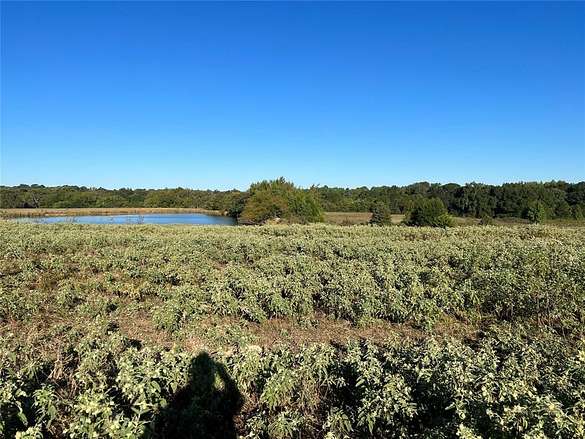 12 Acres of Recreational Land for Sale in Canton, Texas