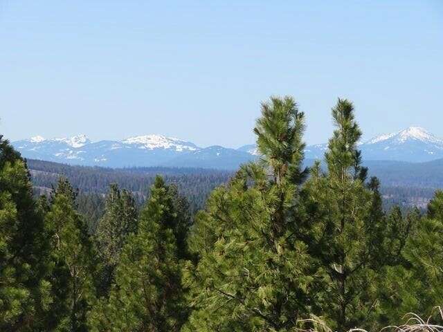30 Acres of Land for Sale in Chiloquin, Oregon