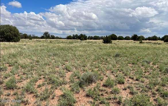10.8 Acres of Land for Sale in Concho, Arizona
