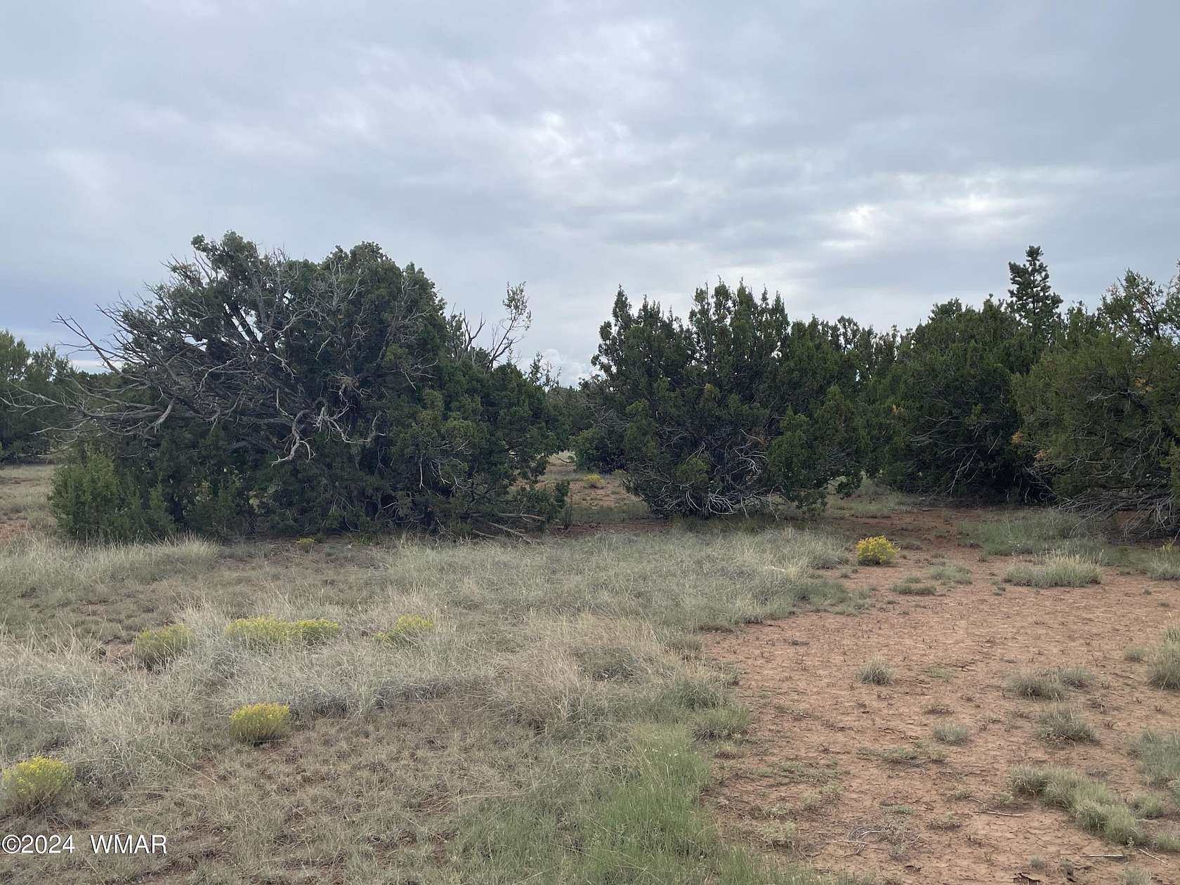 1.19 Acres of Land for Sale in Concho, Arizona