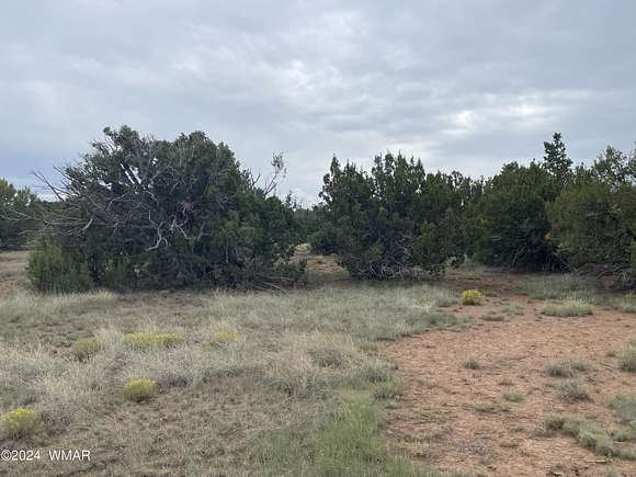 1.19 Acres of Land for Sale in Concho, Arizona