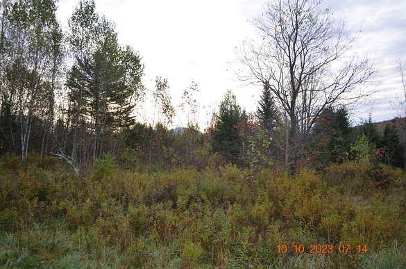 24.5 Acres of Recreational Land for Sale in Sutton, Vermont