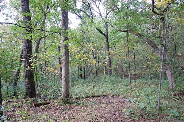 17.6 Acres of Agricultural Land for Sale in Avoca, Wisconsin