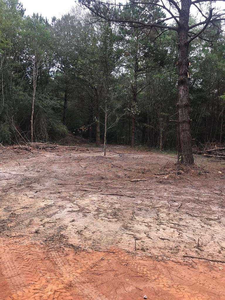 5.7 Acres of Residential Land for Sale in Carriere, Mississippi