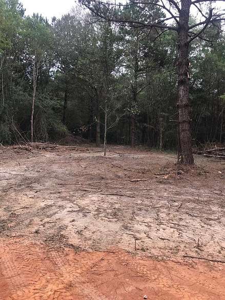 5.657 Acres of Residential Land for Sale in Carriere, Mississippi