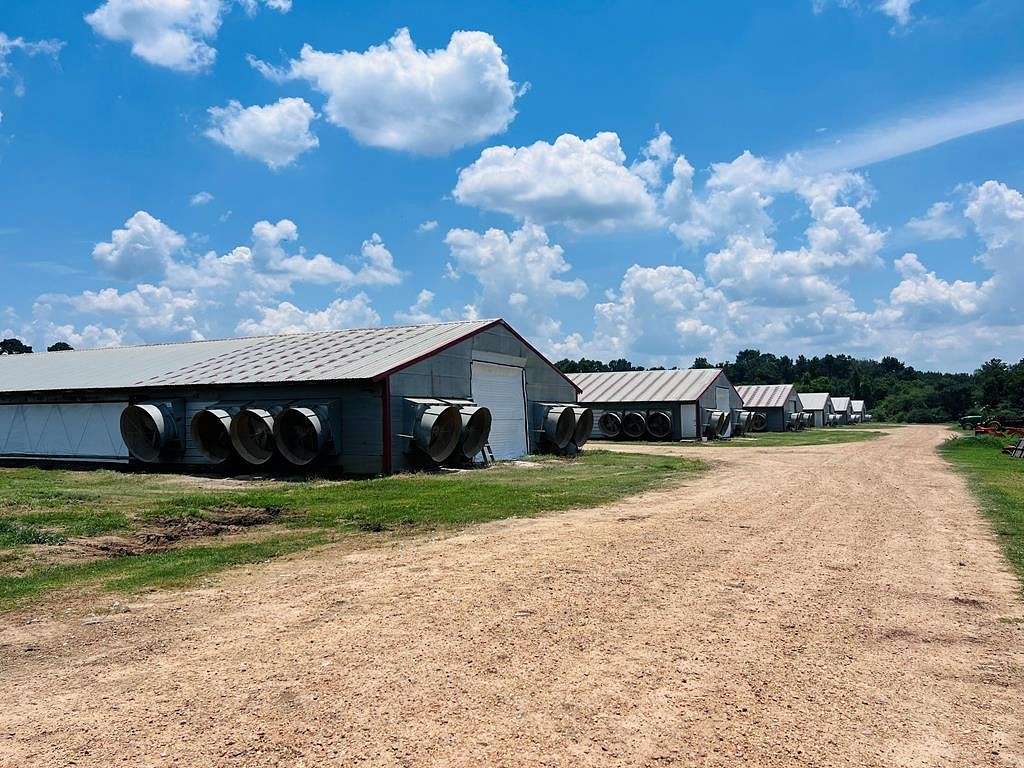 50 Acres of Agricultural Land with Home for Sale in Bogue Chitto, Mississippi