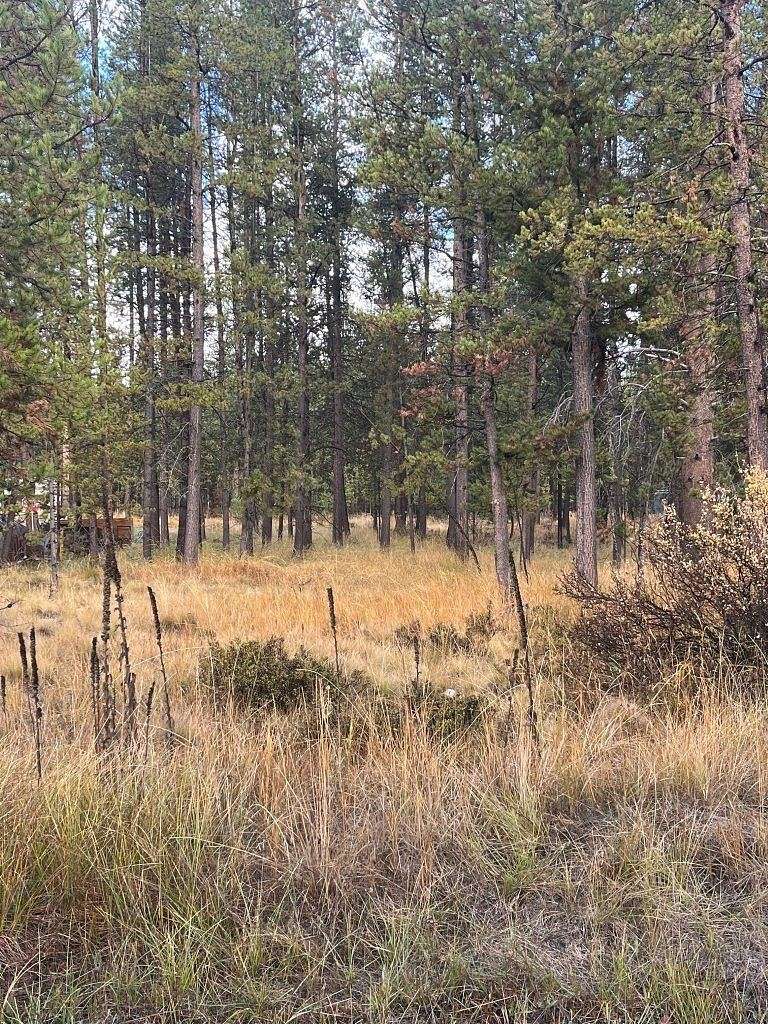 0.45 Acres of Residential Land for Sale in La Pine, Oregon