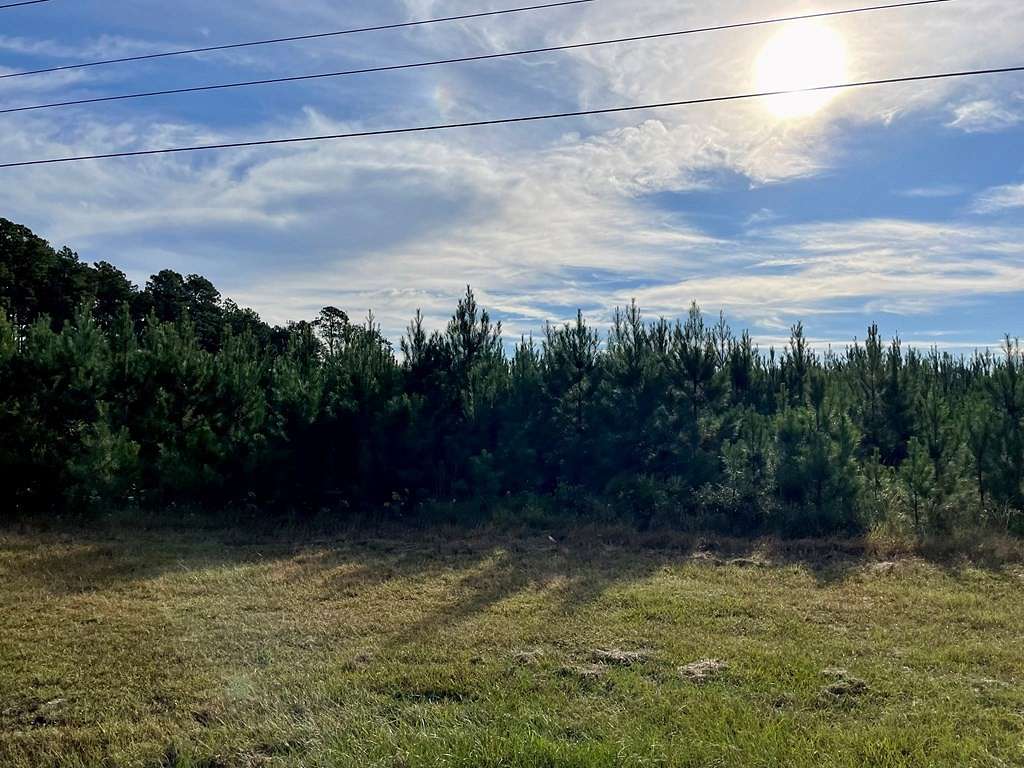 35.6 Acres of Land for Sale in Reidsville, Georgia