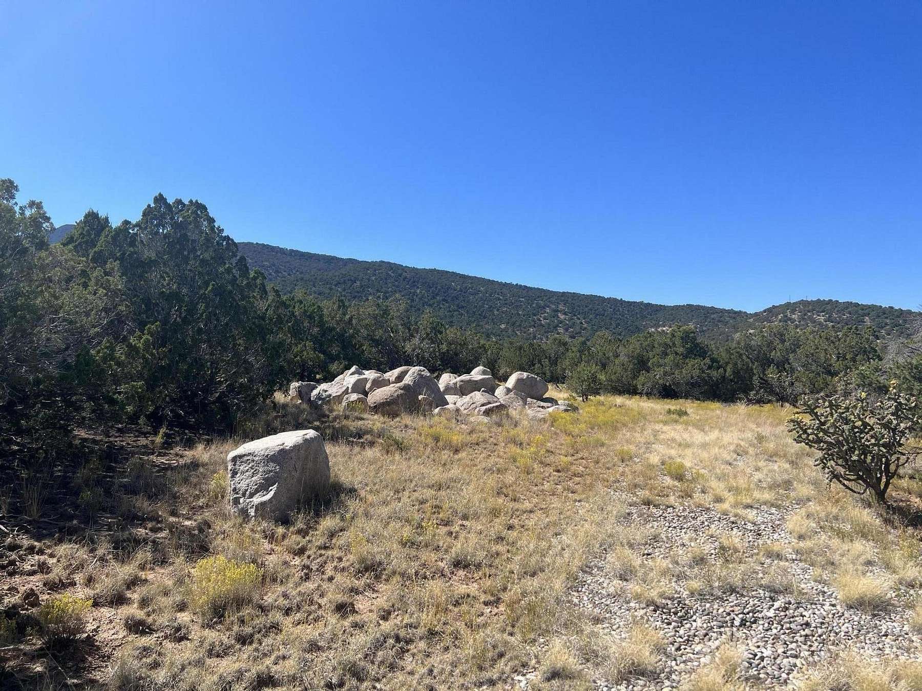 5.1 Acres of Land for Sale in Sandia Park, New Mexico