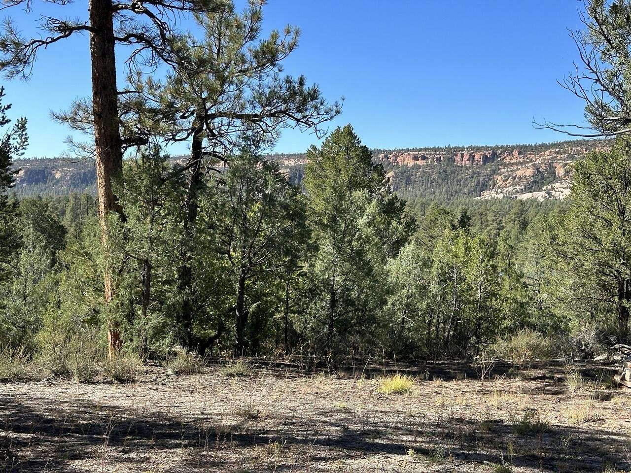 5.3 Acres of Land for Sale in Ramah, New Mexico