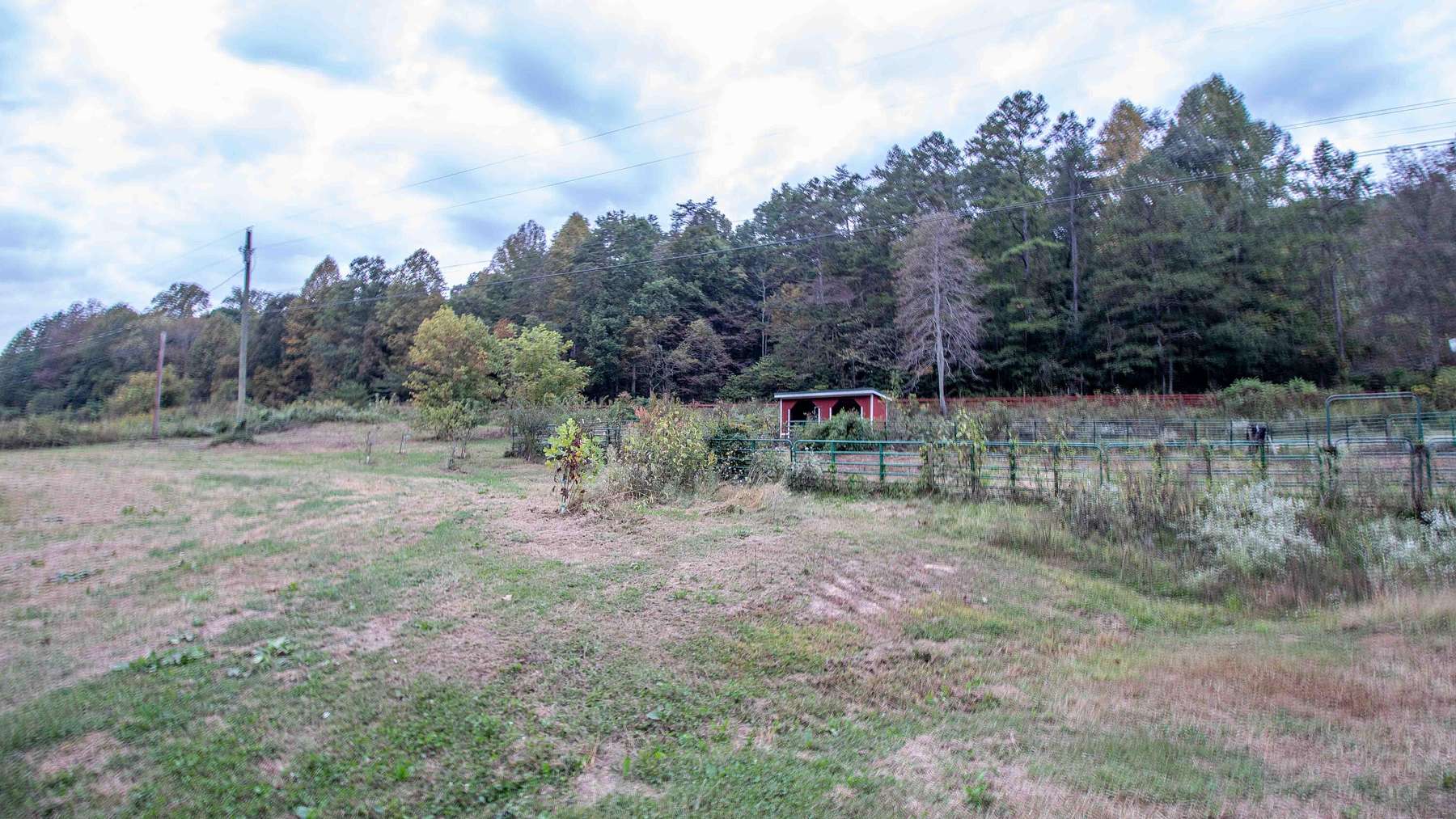 12.2 Acres of Land for Sale in Rogersville, Tennessee