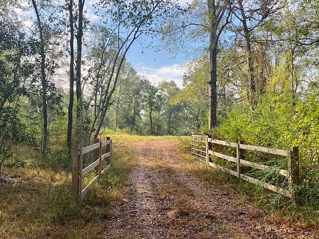 221 Acres of Recreational Land & Farm for Sale in Summit, Mississippi