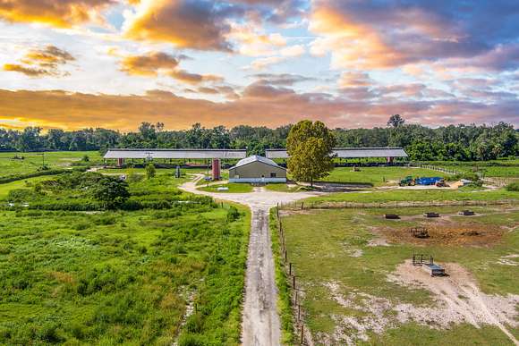 695 Acres of Land for Sale in Mayo, Florida