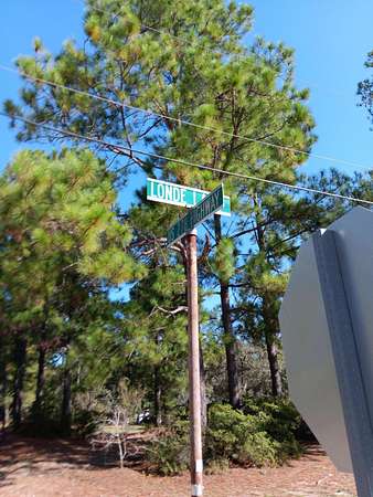 1 Acre of Residential Land for Sale in Barnwell, South Carolina