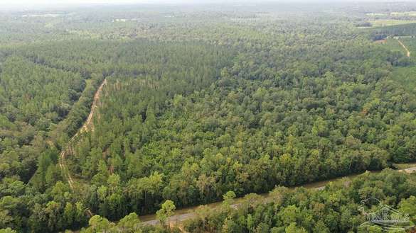 39.5 Acres of Land for Sale in Molino, Florida