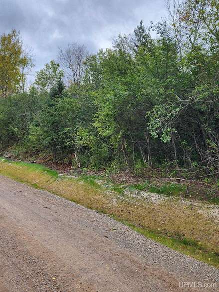 9.2 Acres of Commercial Land for Sale in Crystal Falls, Michigan