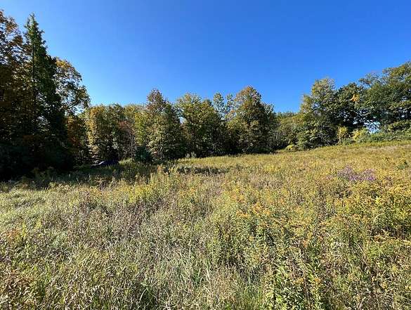 21.2 Acres of Land for Sale in Waverly, New York