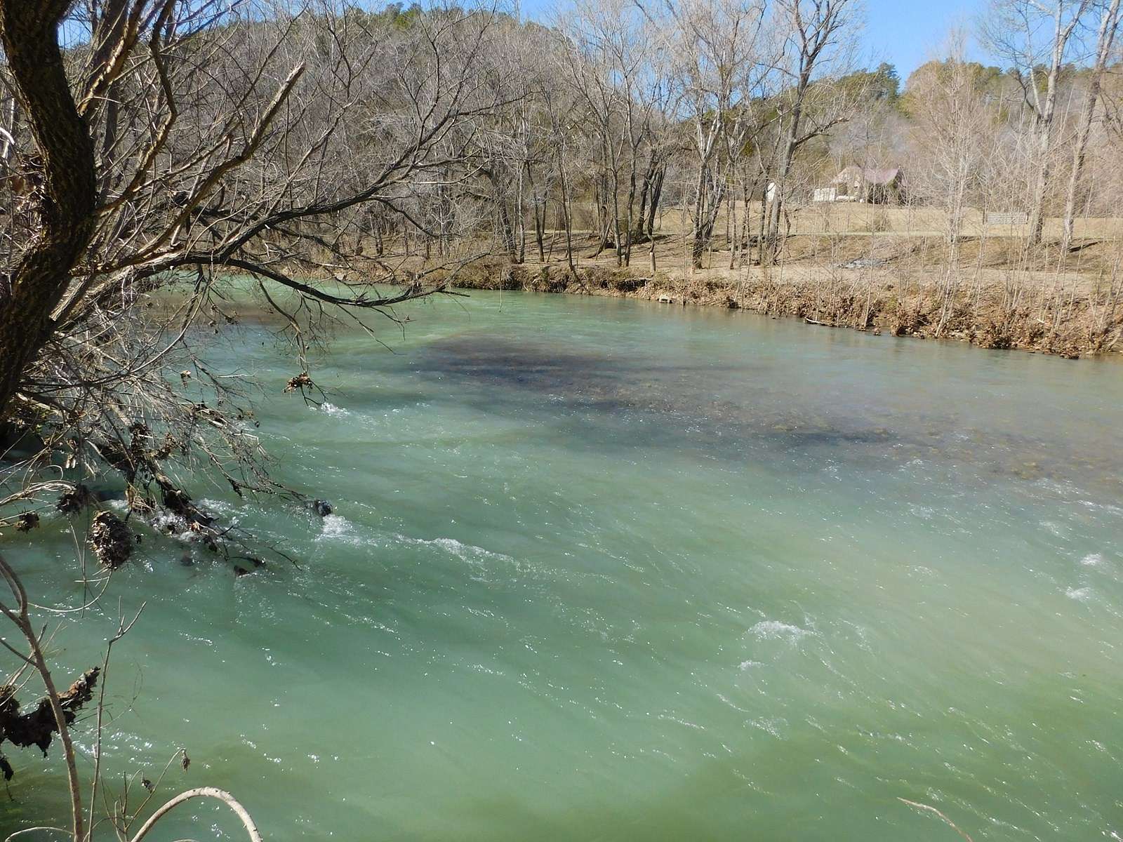 5 Acres of Land for Sale in Jasper, Arkansas