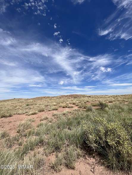 40 Acres of Recreational Land for Sale in Chambers, Arizona