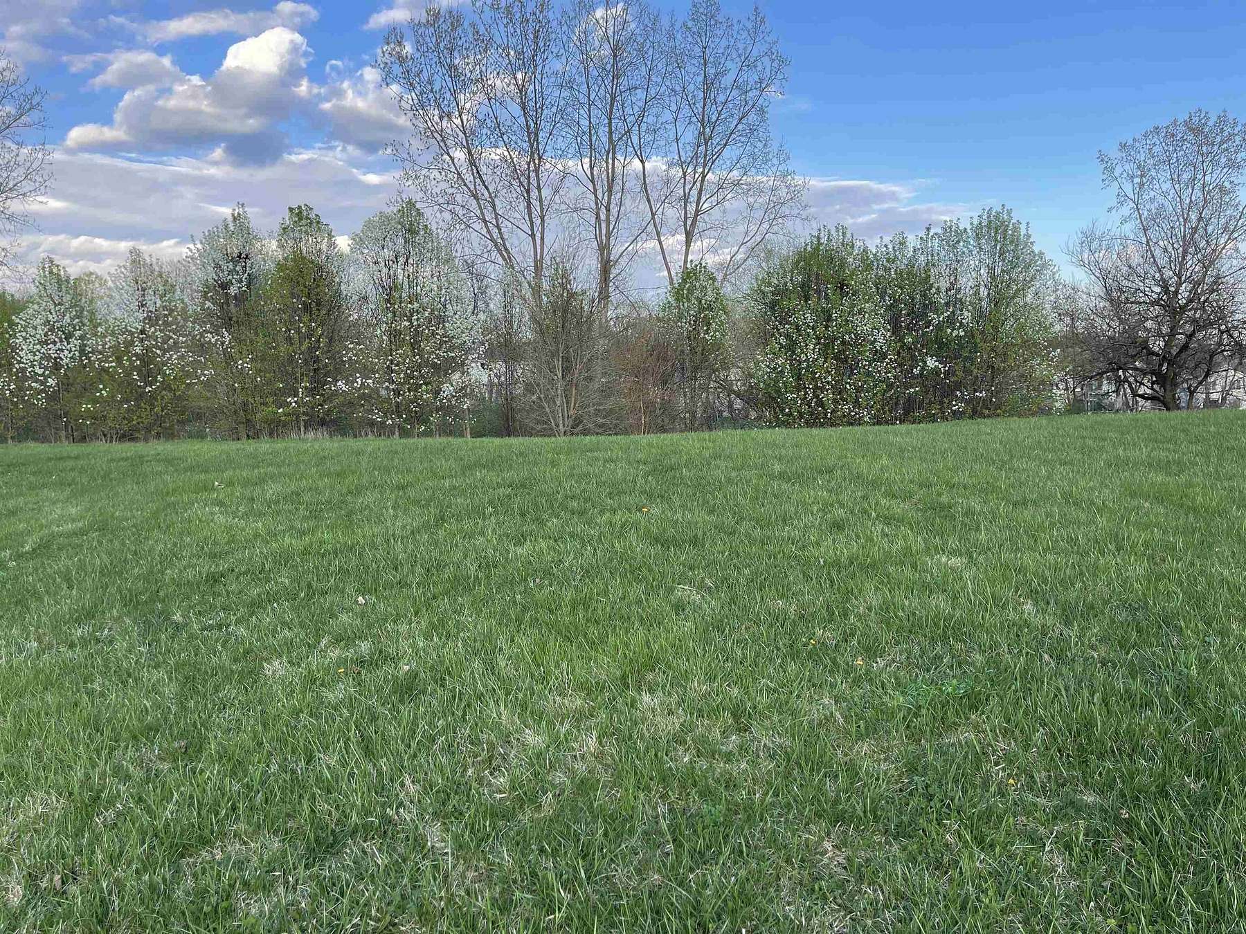 0.31 Acres of Residential Land for Sale in Avilla, Indiana