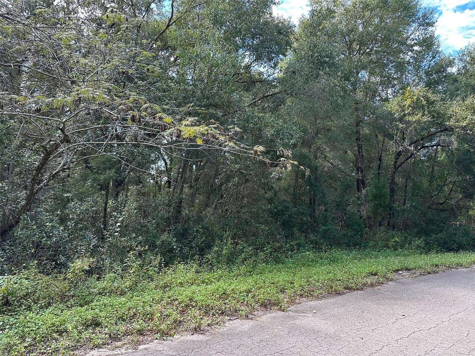 0.46 Acres of Residential Land for Sale in Ocklawaha, Florida