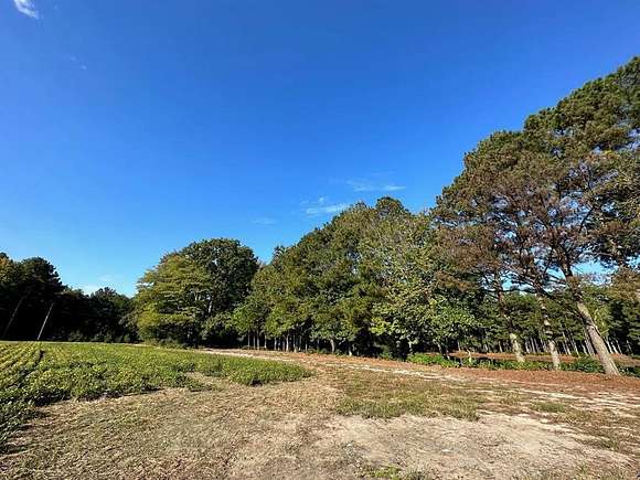 18 Acres of Agricultural Land for Sale in Belle Haven, Virginia