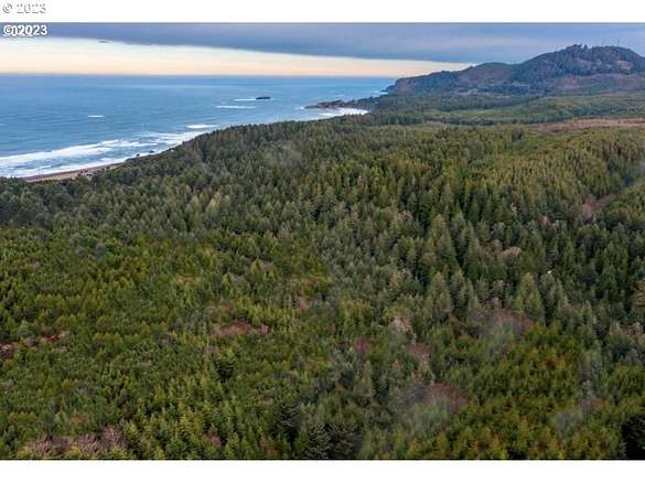 40 Acres of Land for Sale in Newport, Oregon