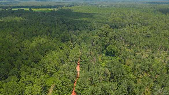 78 Acres of Recreational Land for Sale in Milton, Florida