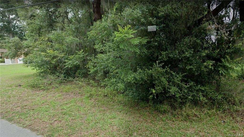 0.31 Acres of Residential Land for Sale in Inverness, Florida